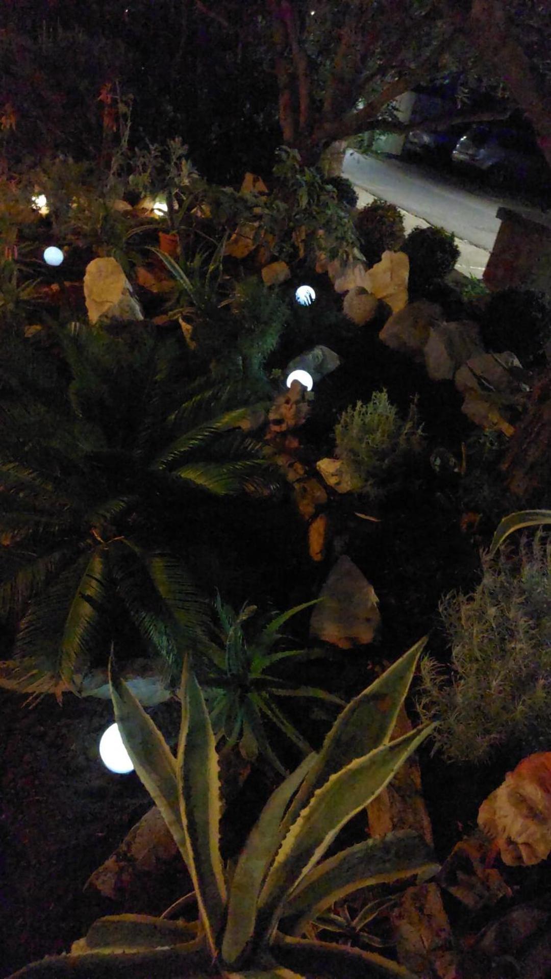 סטארי גראד Apartments Ljubo מראה חיצוני תמונה