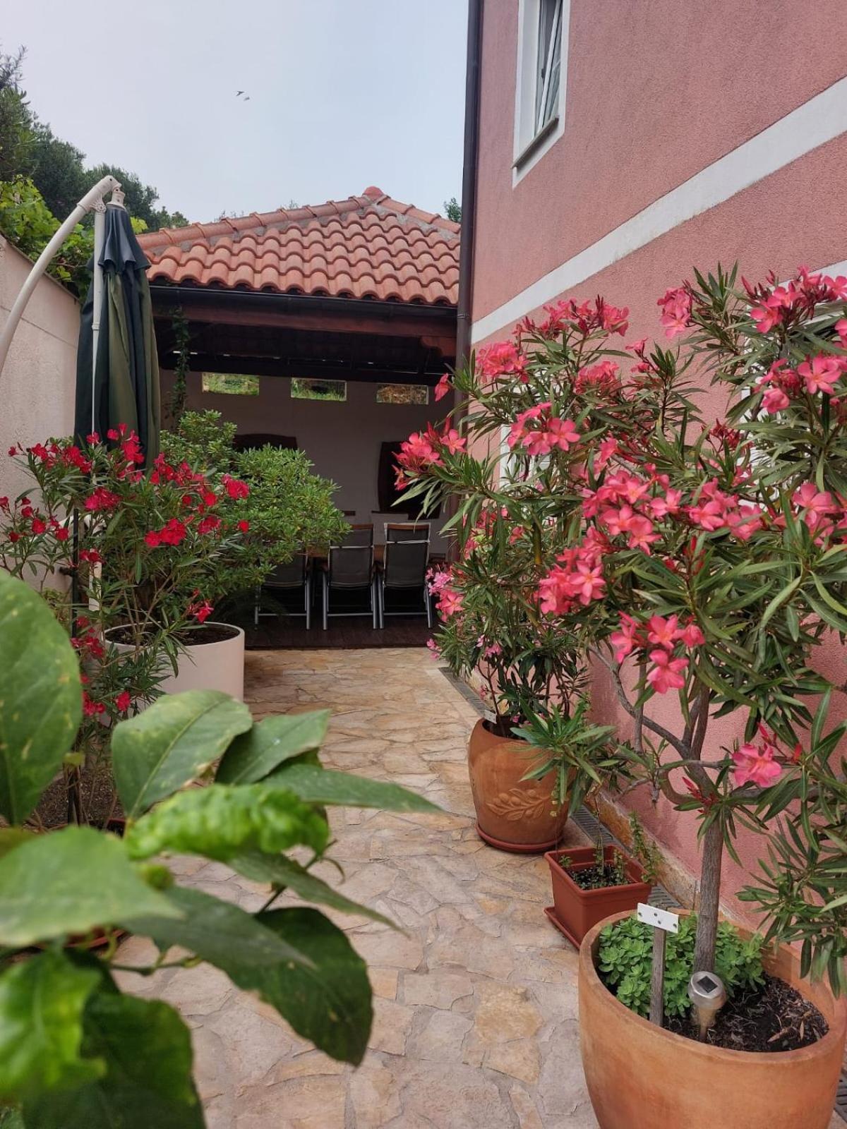 סטארי גראד Apartments Ljubo מראה חיצוני תמונה