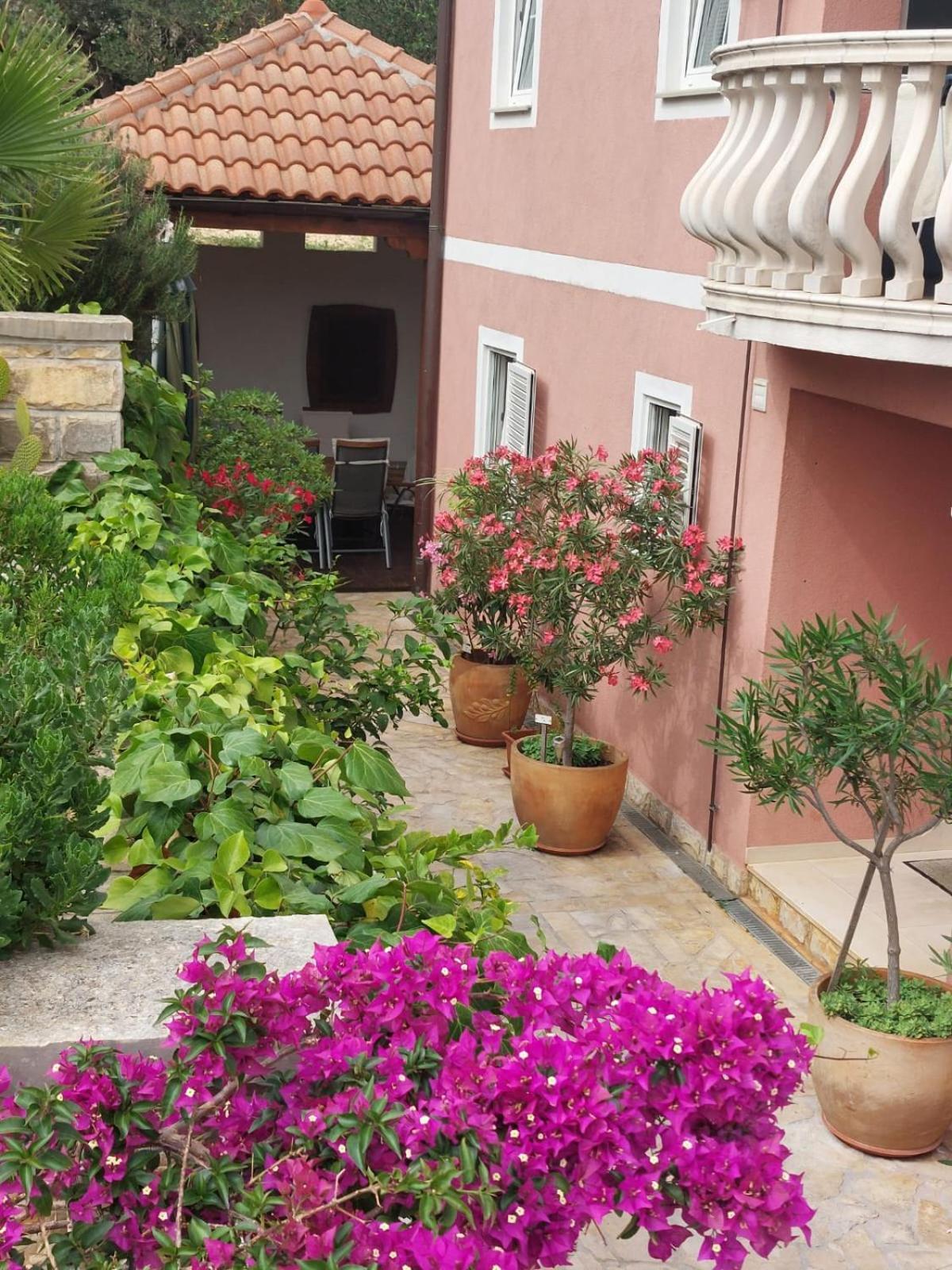 סטארי גראד Apartments Ljubo מראה חיצוני תמונה