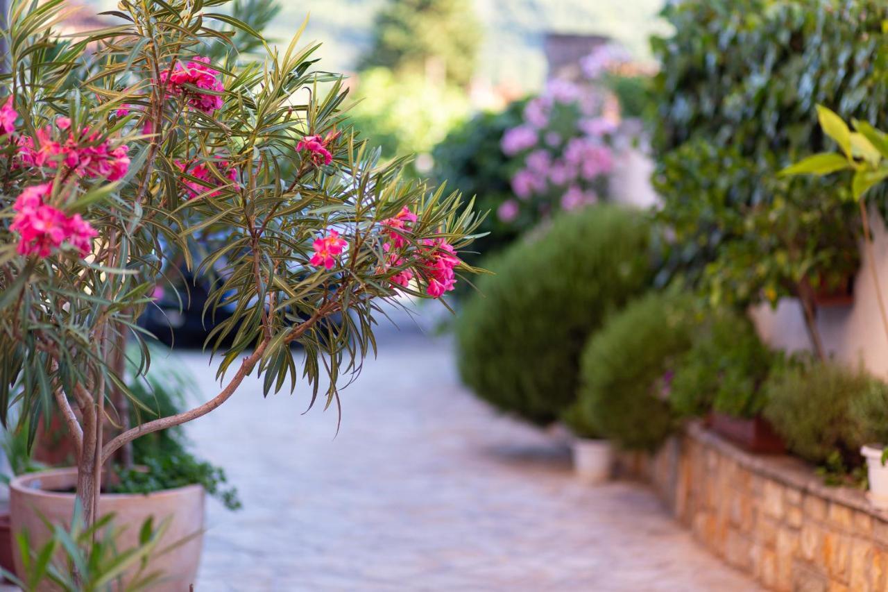 סטארי גראד Apartments Ljubo מראה חיצוני תמונה